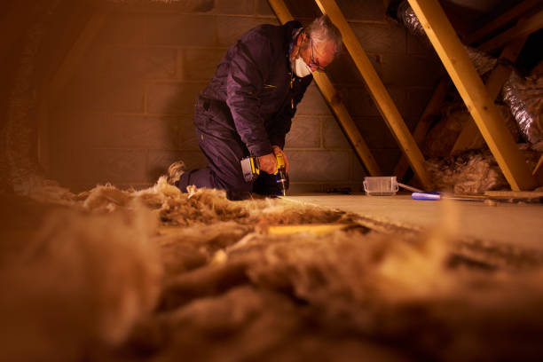 Best Insulation Maintenance and Repair in Pegram, TN